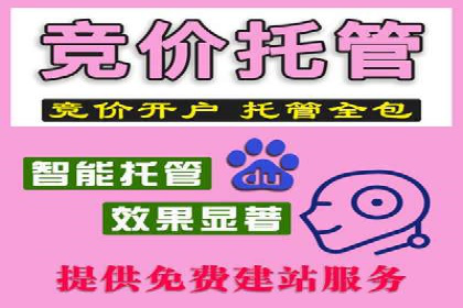 百度运营推广策略：成功案例解析
